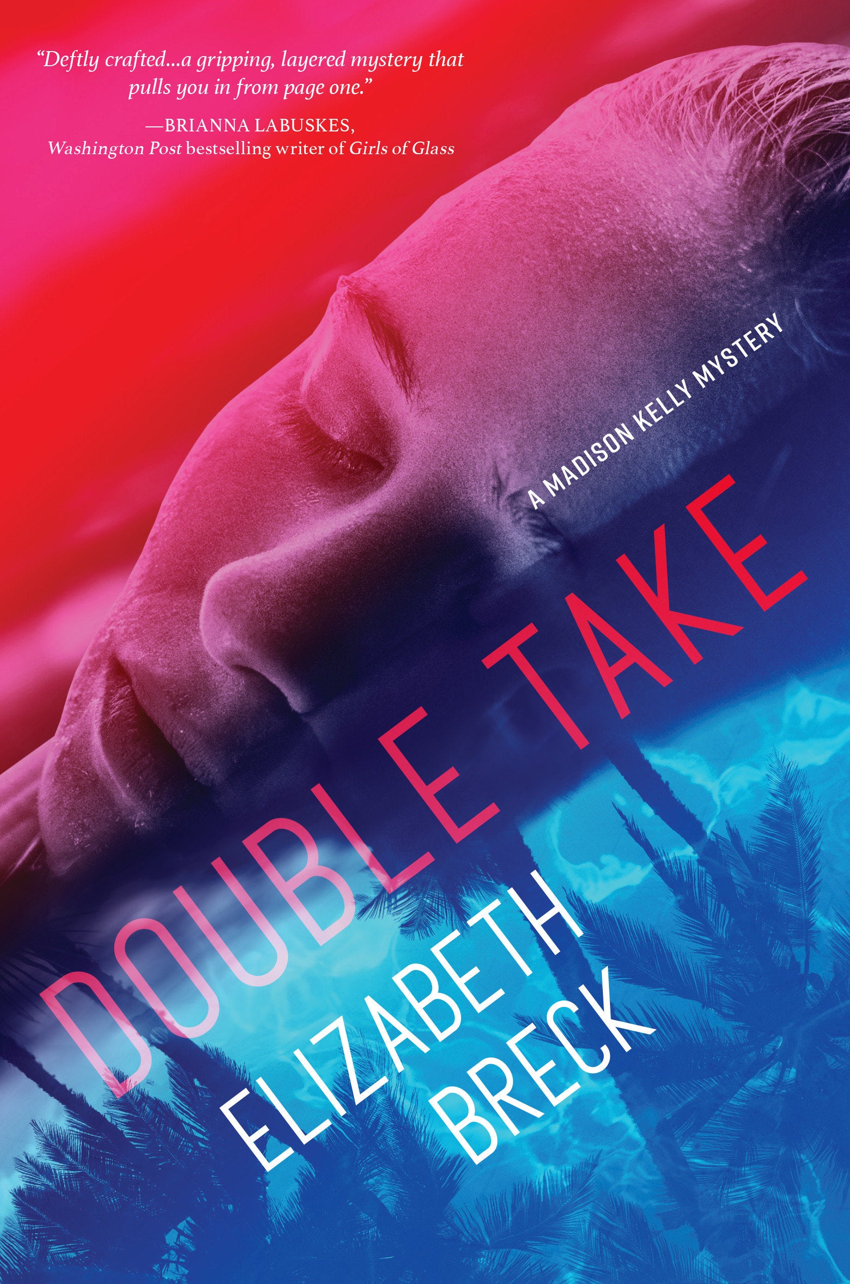 Double Take - A Madison Kelly Mystery (A Madison Kelly Mystery) (Book:2)