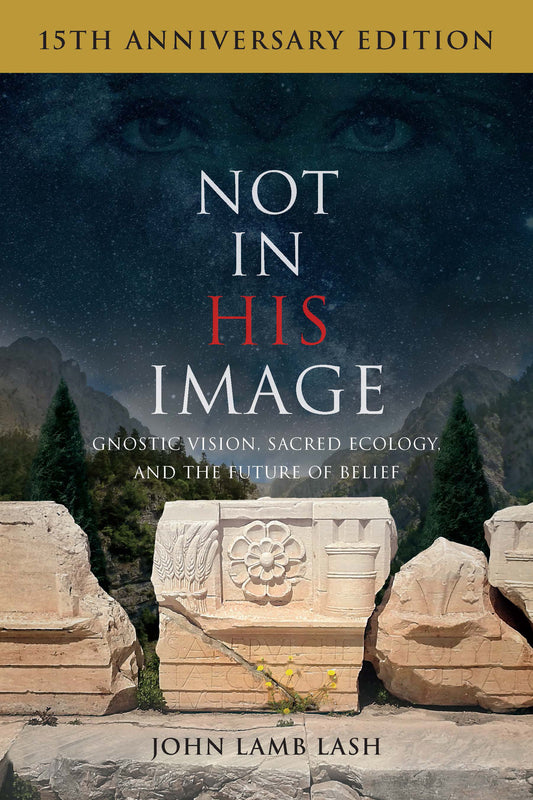 Not in His Image (15th Anniversary Edition) - Gnostic Vision, Sacred Ecology, and the Future of Belief