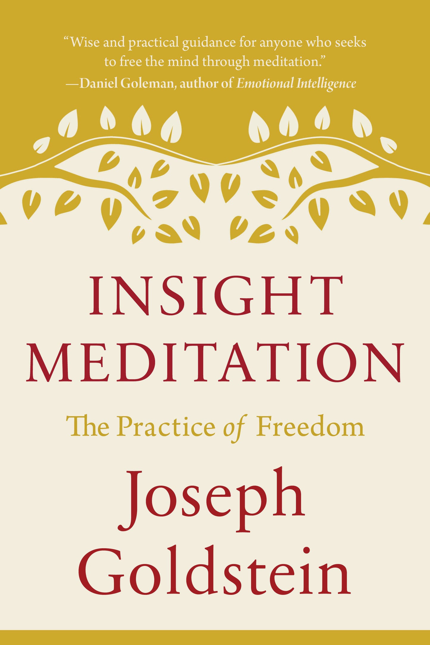 Insight Meditation - The Practice of Freedom