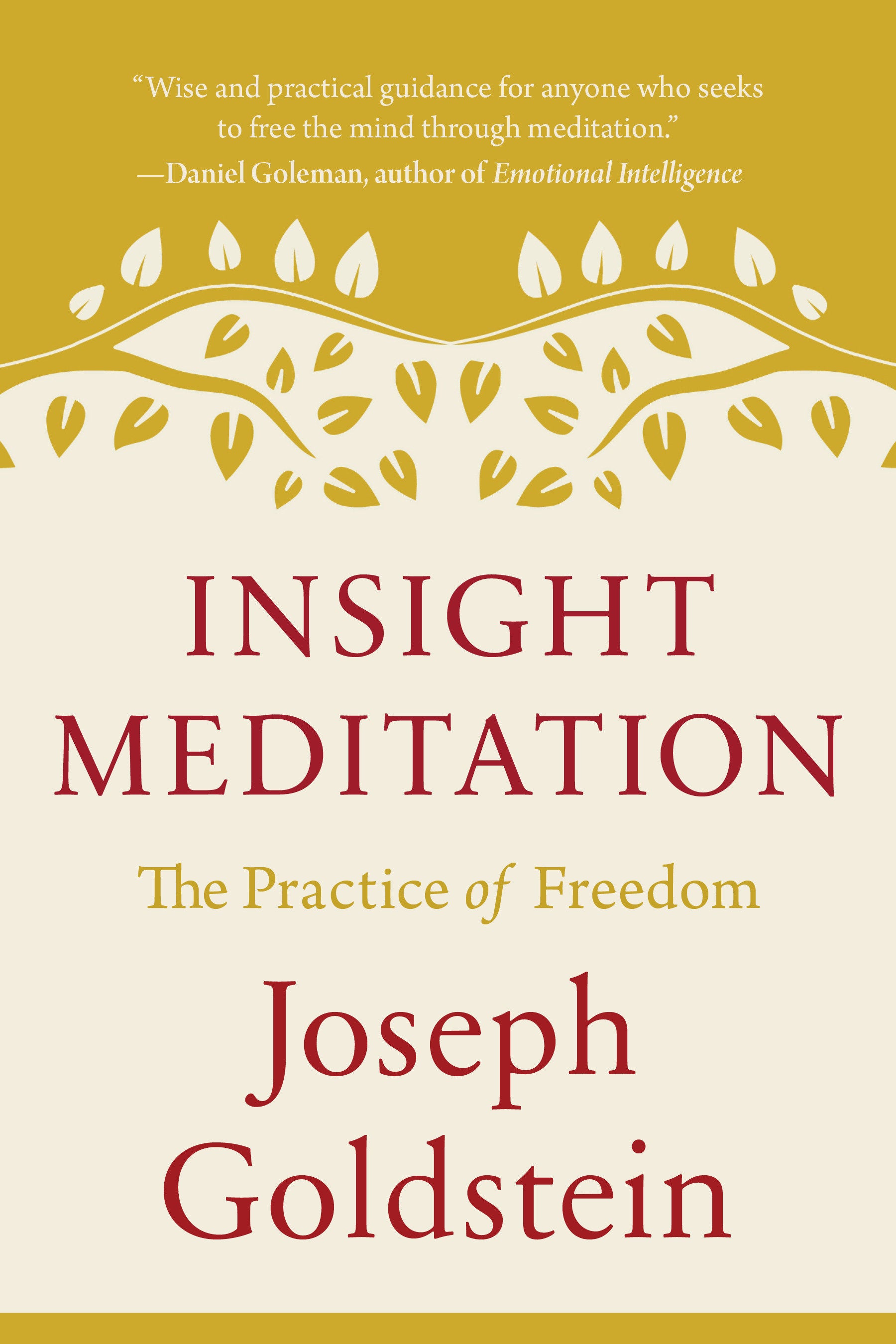 Insight Meditation - The Practice of Freedom