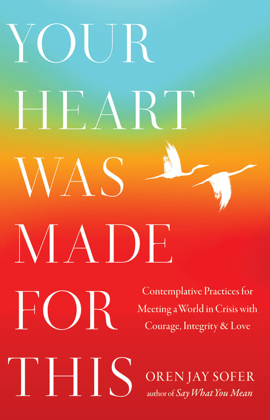Your Heart Was Made for This - Contemplative Practices for Meeting a World in Crisis with Courage, Integrity, and Love
