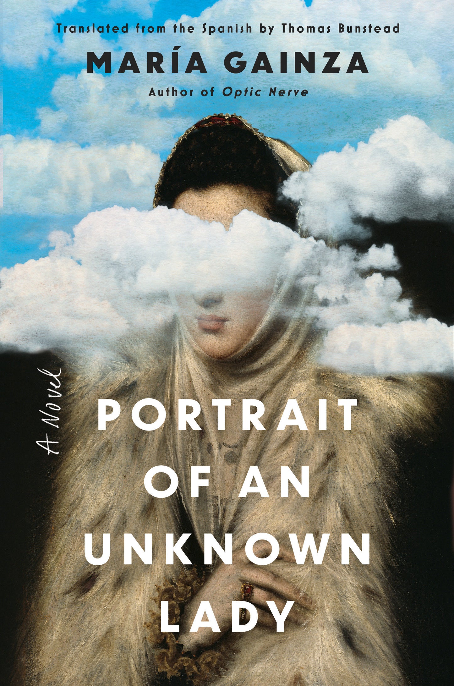 Portrait of an Unknown Lady - A Novel