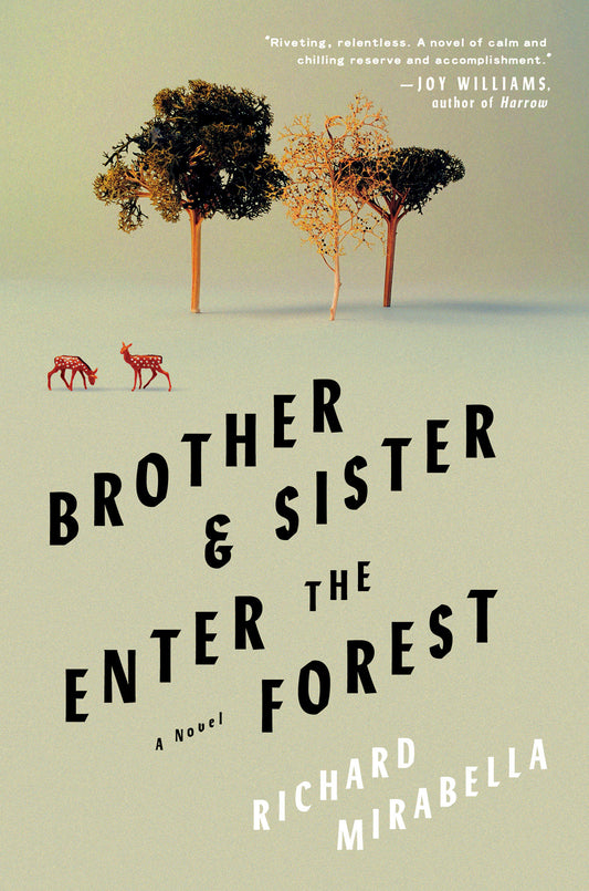 Brother & Sister Enter the Forest - A Novel