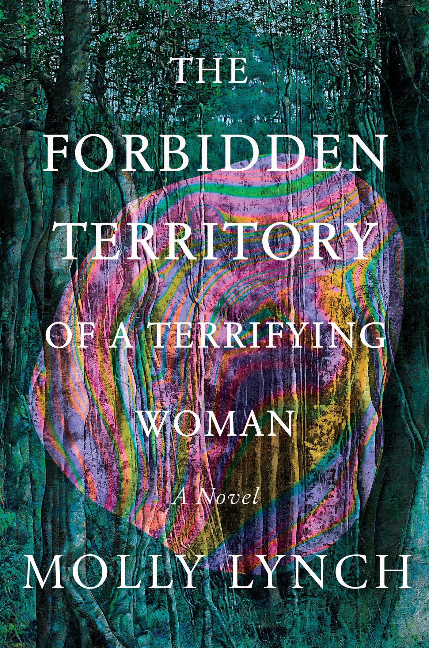 The Forbidden Territory of a Terrifying Woman - A Novel