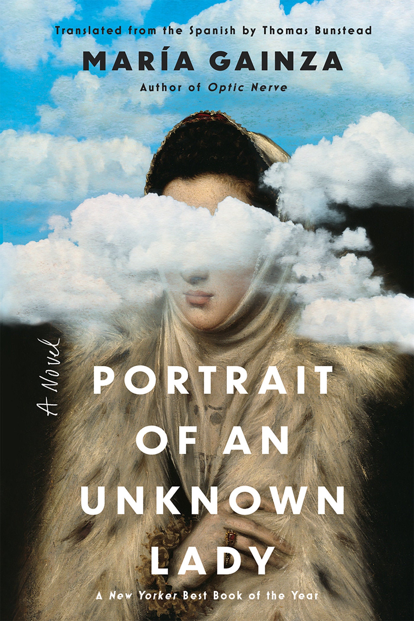 Portrait of an Unknown Lady - A Novel