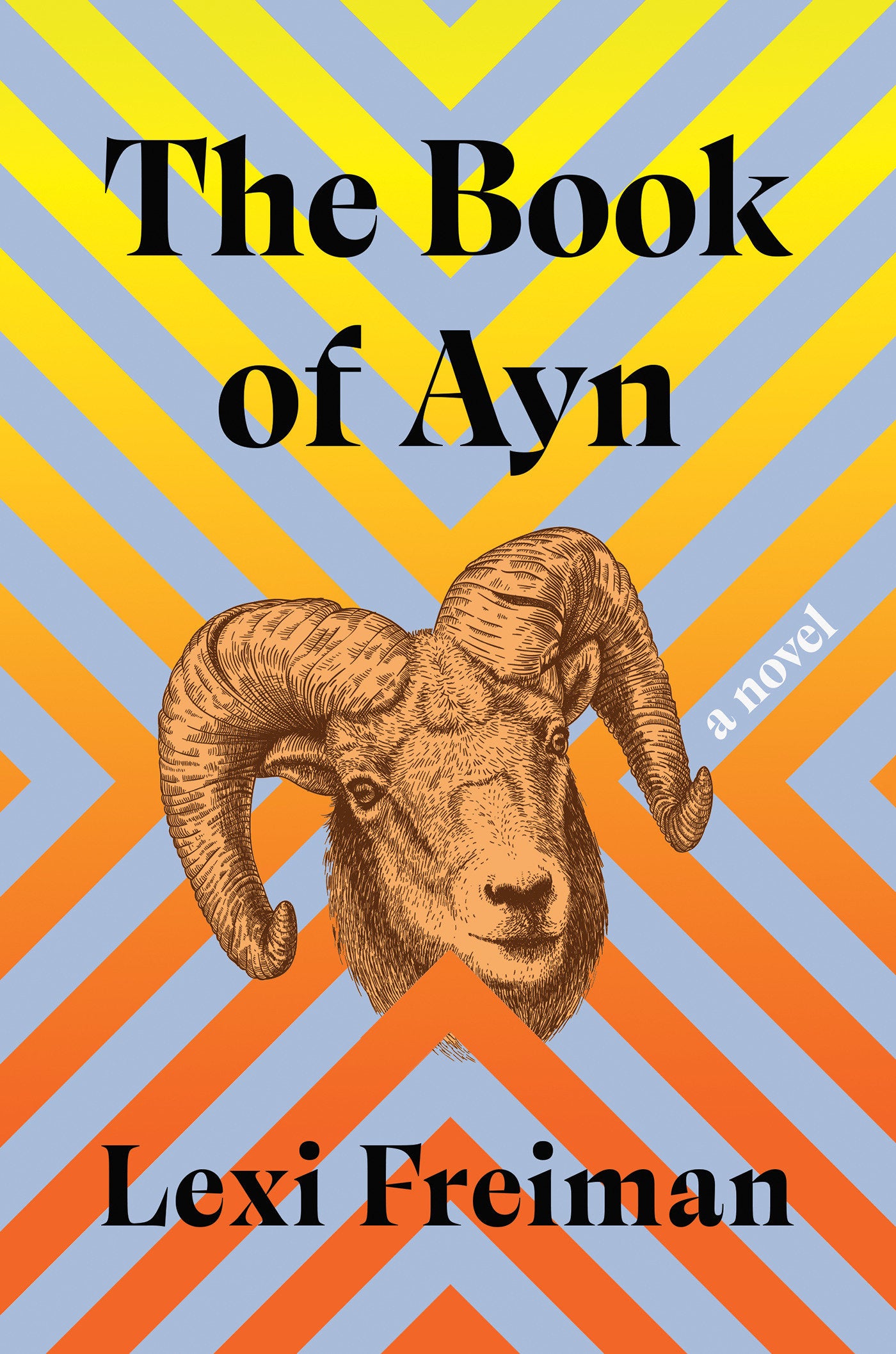 The Book of Ayn - A Novel