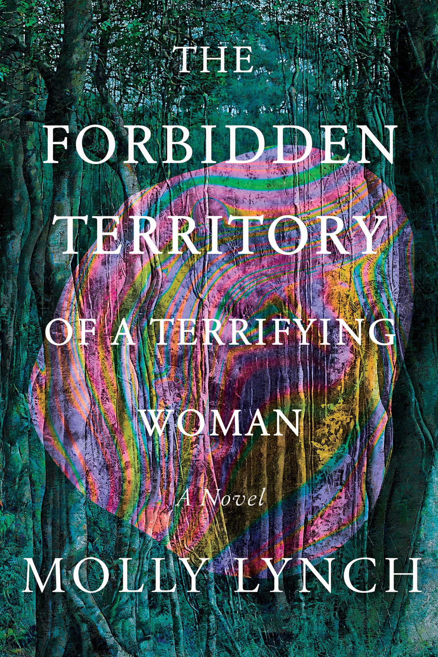 The Forbidden Territory of A Terrifying Woman - A Novel