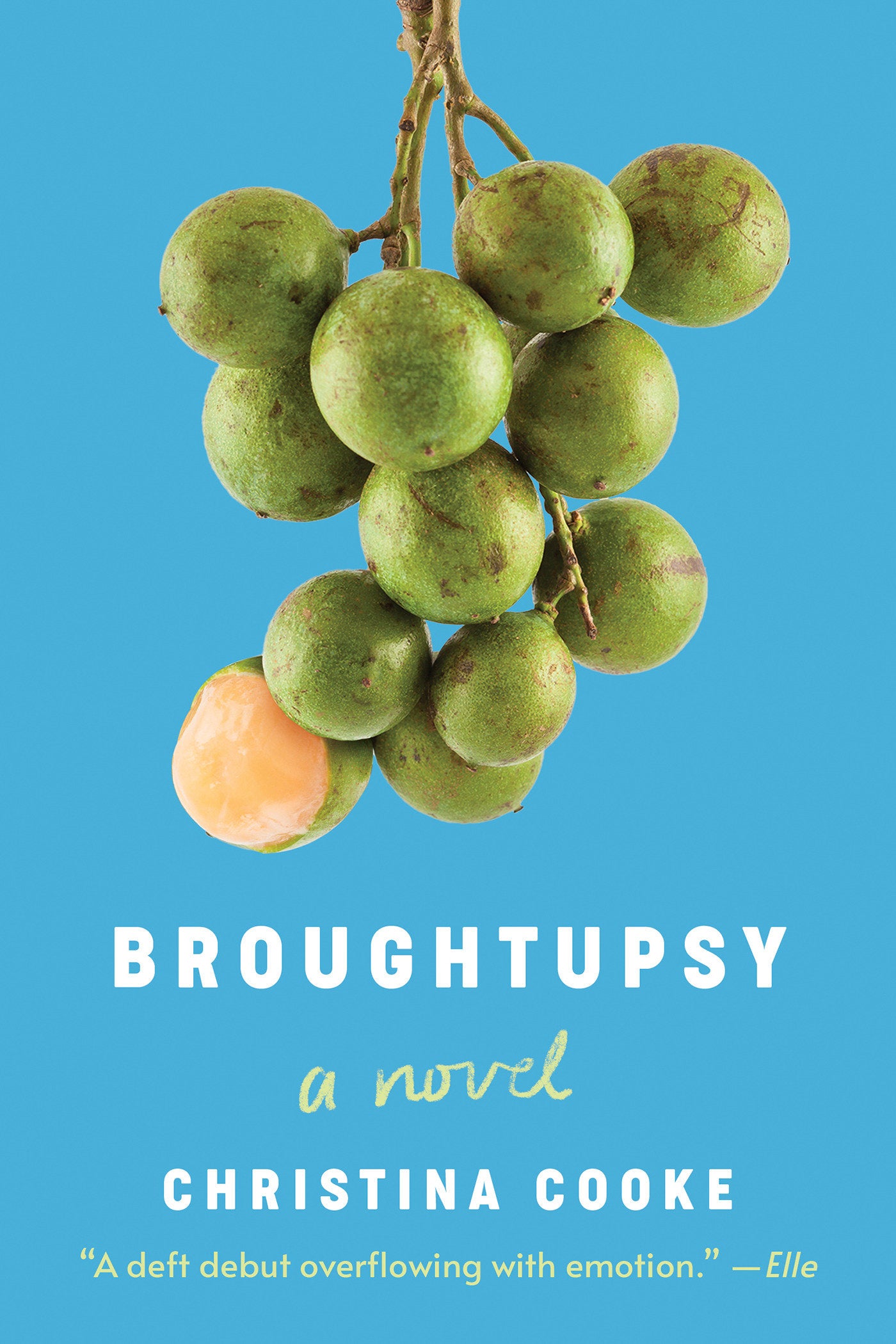 Broughtupsy - A Novel