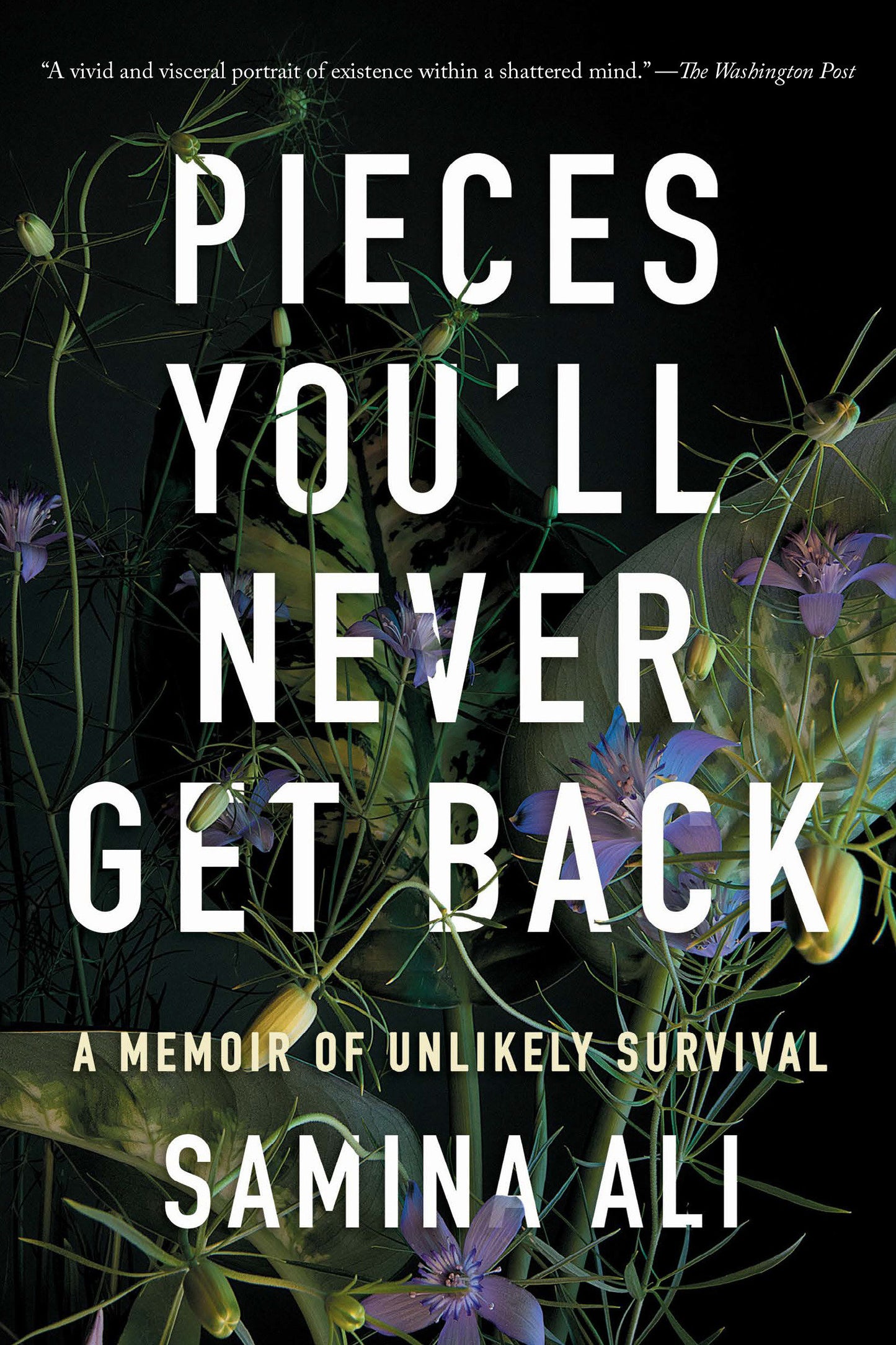 Pieces You'll Never Get Back - A Memoir of Unlikely Survival