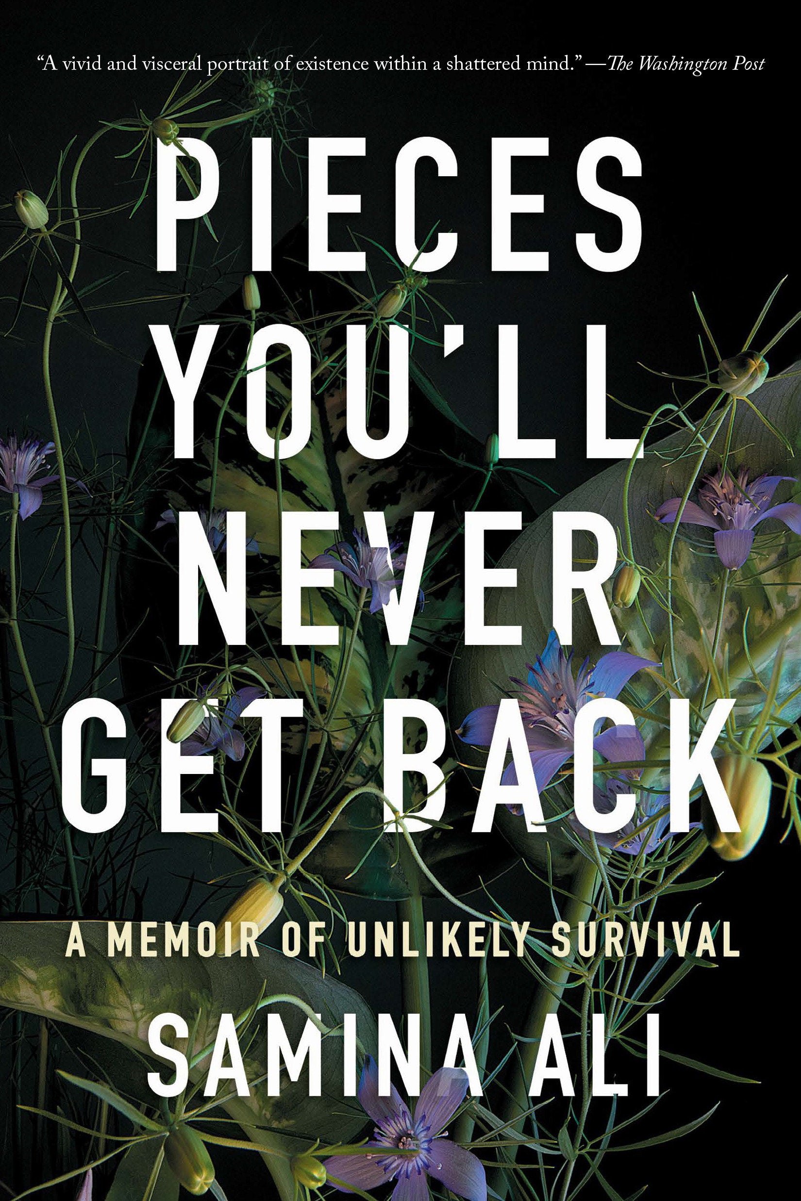 Pieces You'll Never Get Back - A Memoir of Unlikely Survival