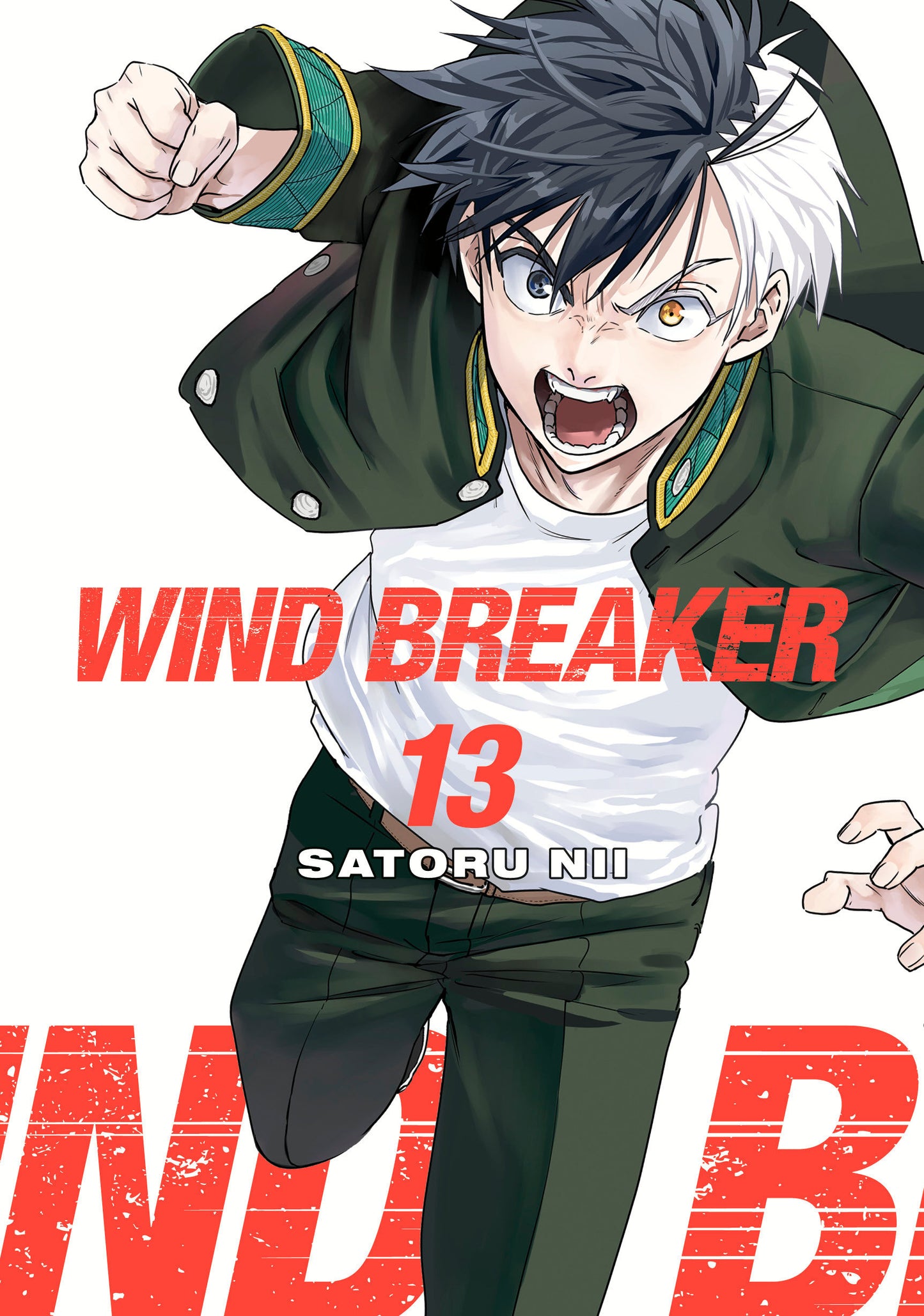 WIND BREAKER 13 (WIND BREAKER) (Book:13)