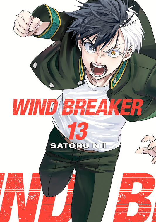 WIND BREAKER 13 (WIND BREAKER) (Book:13)