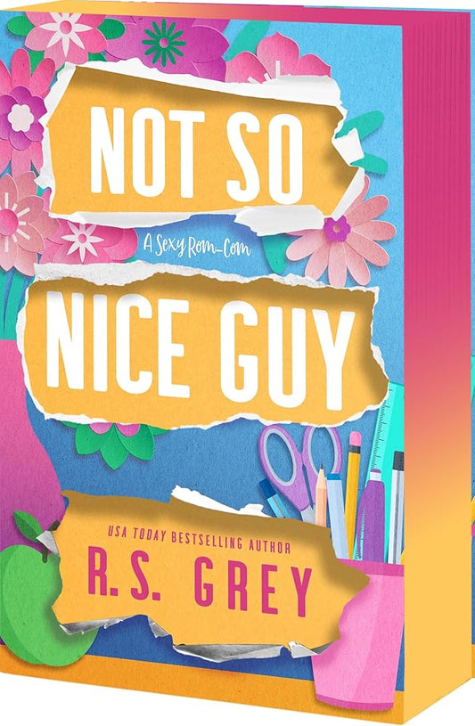 Not So Nice Guy by R S Grey