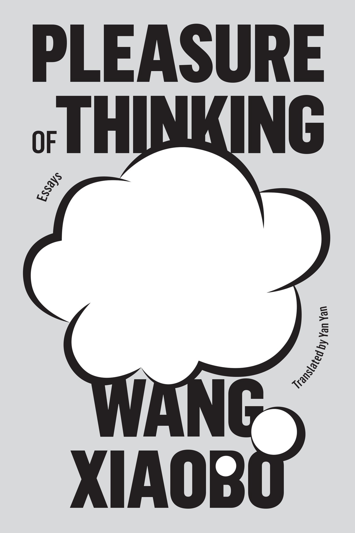 Pleasure of Thinking - Essays