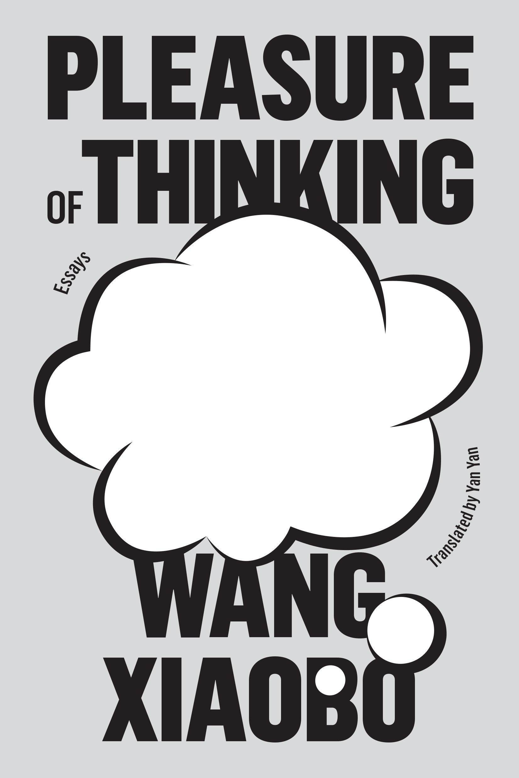 Pleasure of Thinking - Essays