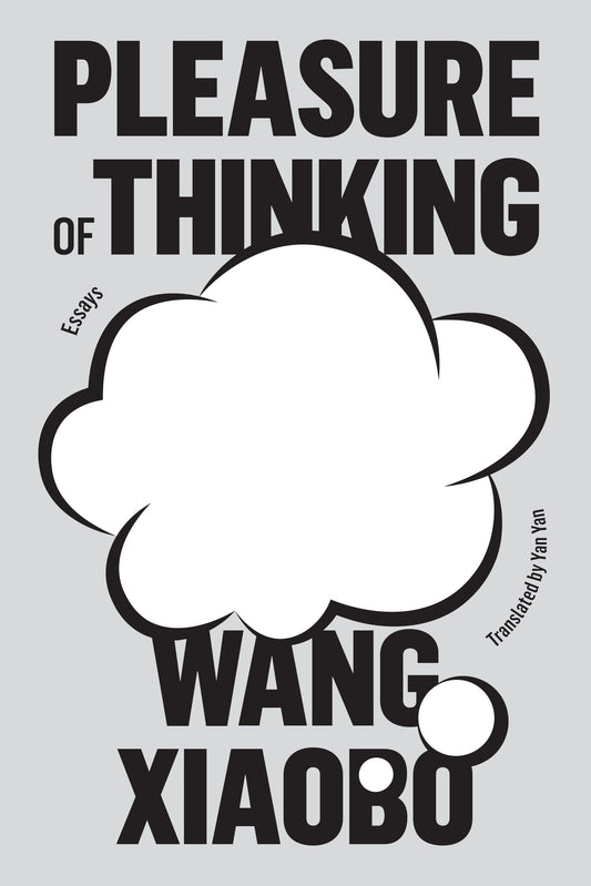 Pleasure of Thinking - Essays