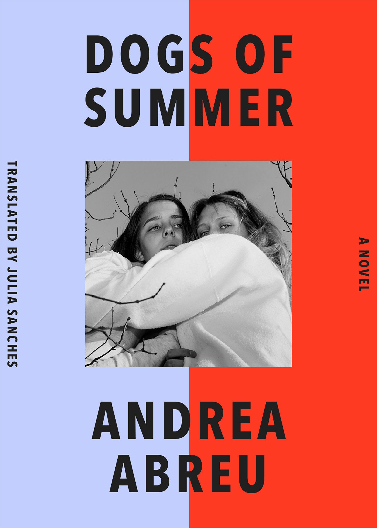 Dogs of Summer - A Novel