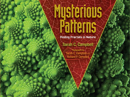 Mysterious Patterns - Finding Fractals in Nature