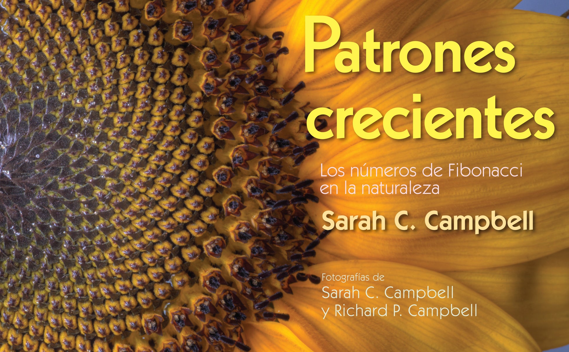Patrones Crecientes (Growing Patterns) - Los n�meros de Fibonacci en la naturaleza