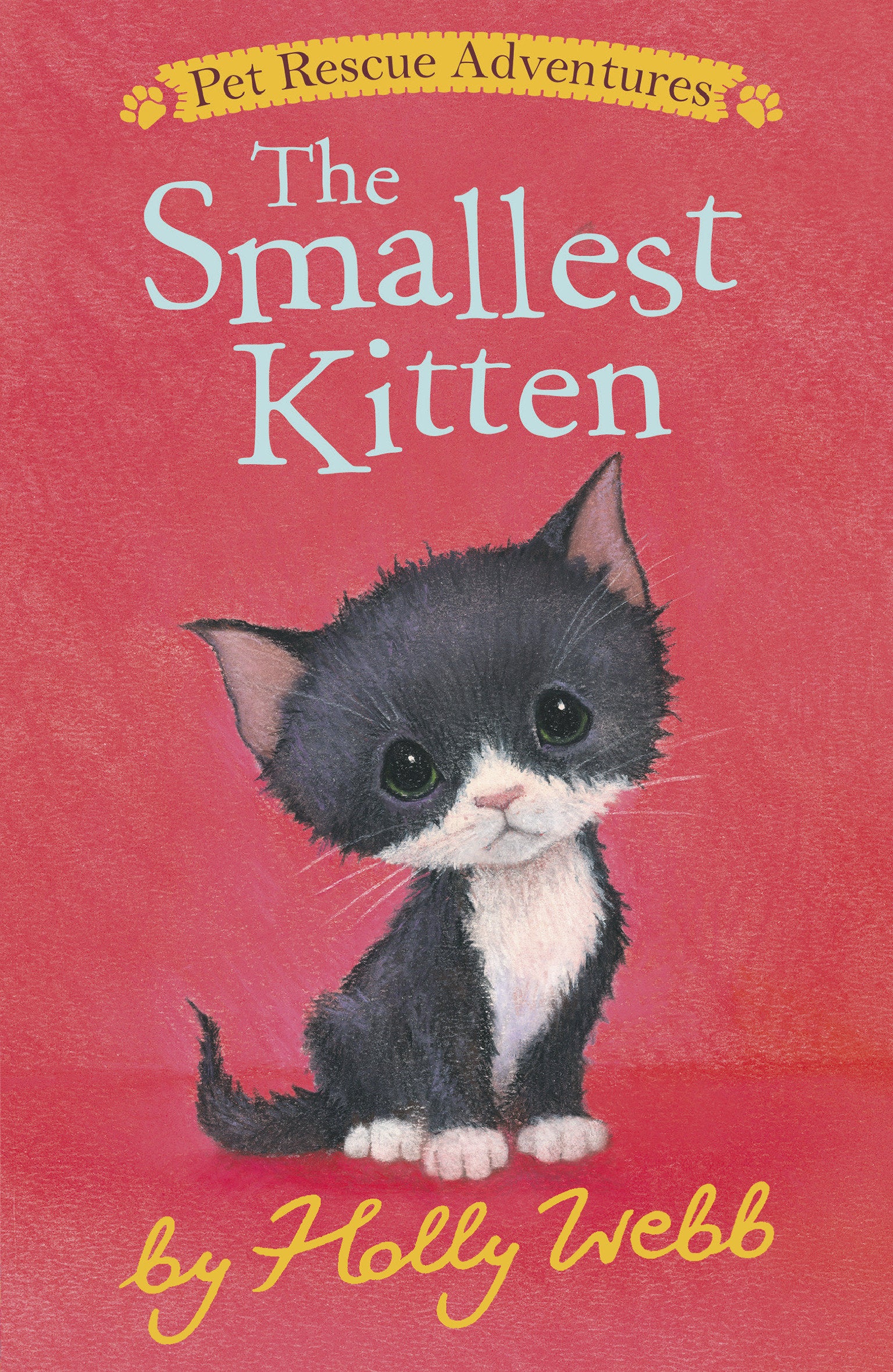The Smallest Kitten (Pet Rescue Adventures)
