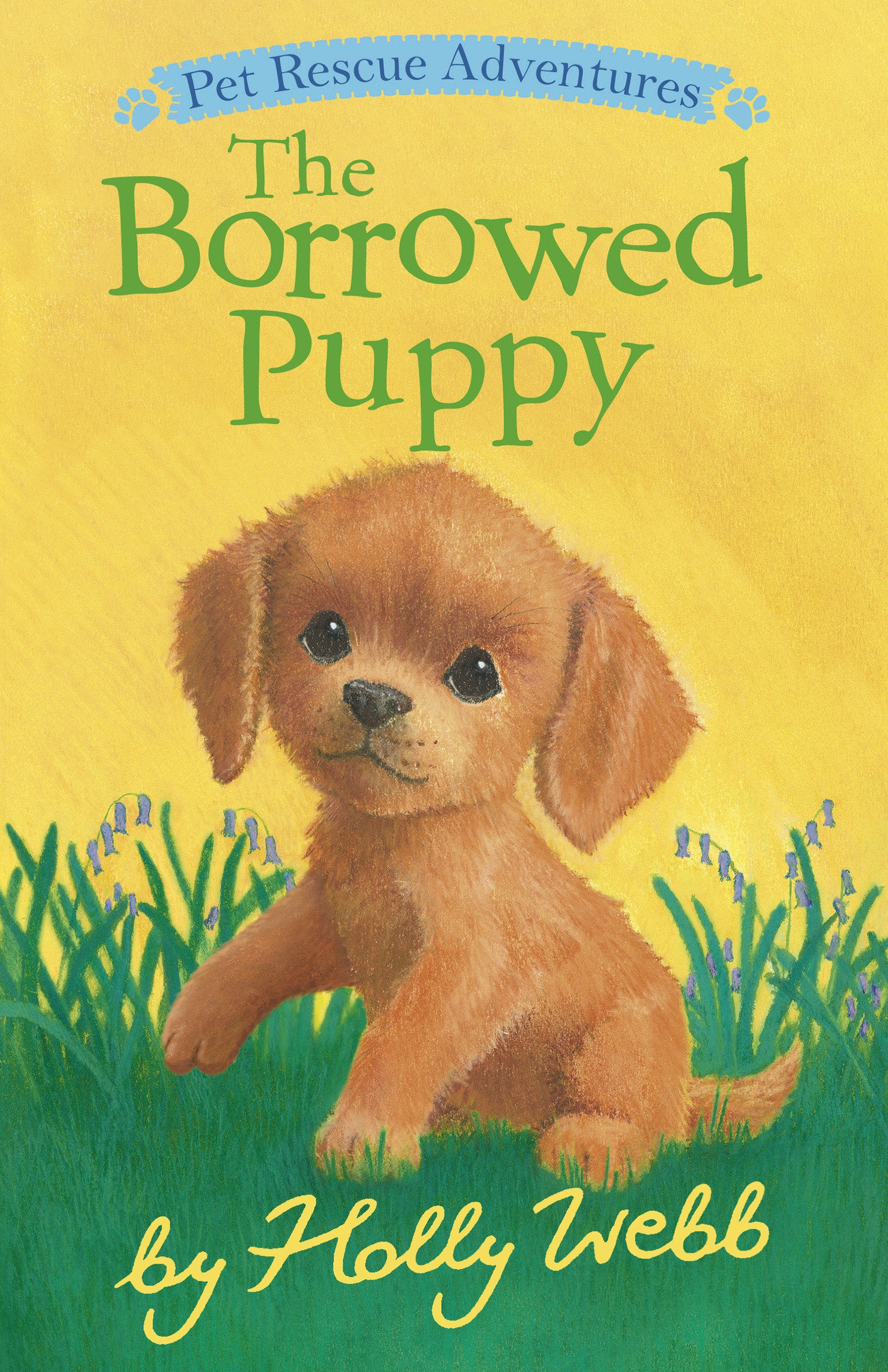 The Borrowed Puppy (Pet Rescue Adventures)