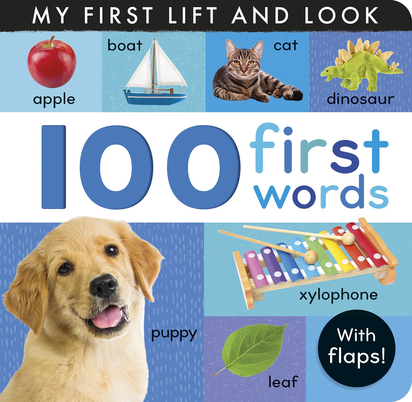 100 First Words - My First Lift and Look (with Flaps) (My First)