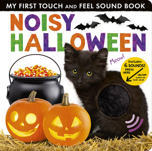 Noisy Halloween - My First Touch and Feel Sound Book (My First)