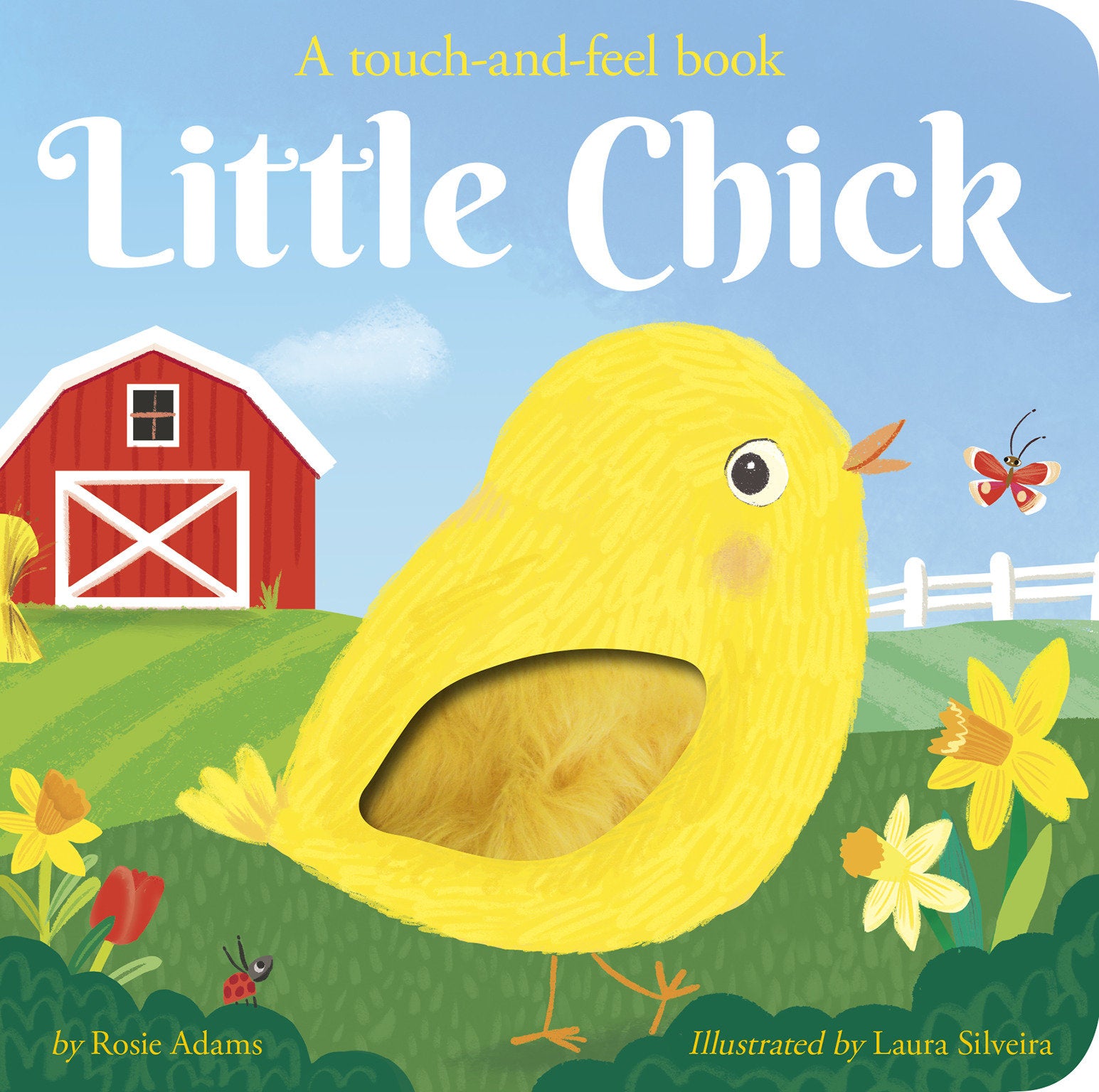 Little Chick - A touch-and-feel book