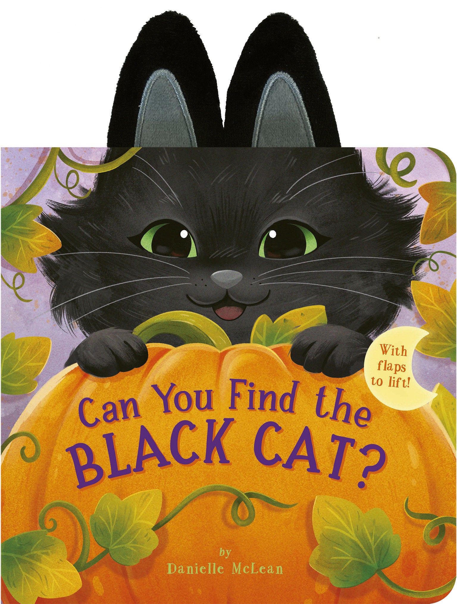 Can You Find the Black Cat? - With flaps to lift!