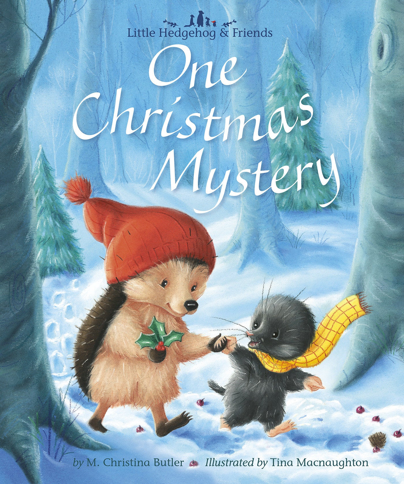 One Christmas Mystery - Little Hedgehog & Friends (Little Hedgehog & Friends)