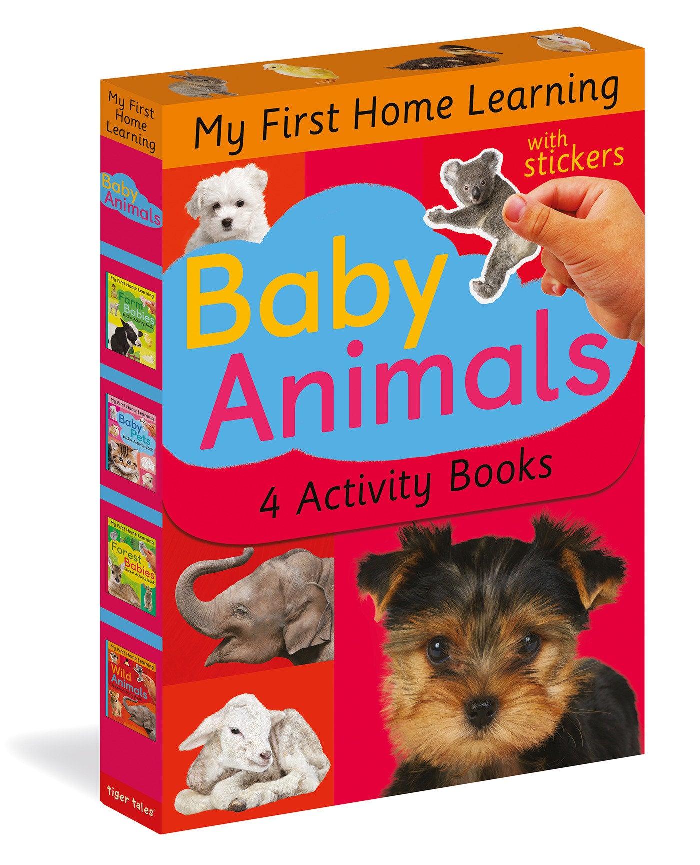 Baby Animals: 4 Activity Book Boxed Set with Stickers - Baby Pets; Farm Babies; Forest Babies; Wild Animals (My First Home Learning)