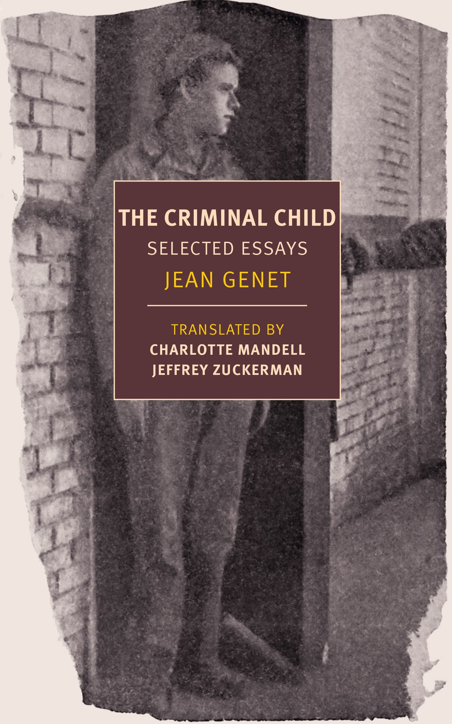 The Criminal Child - Selected Essays