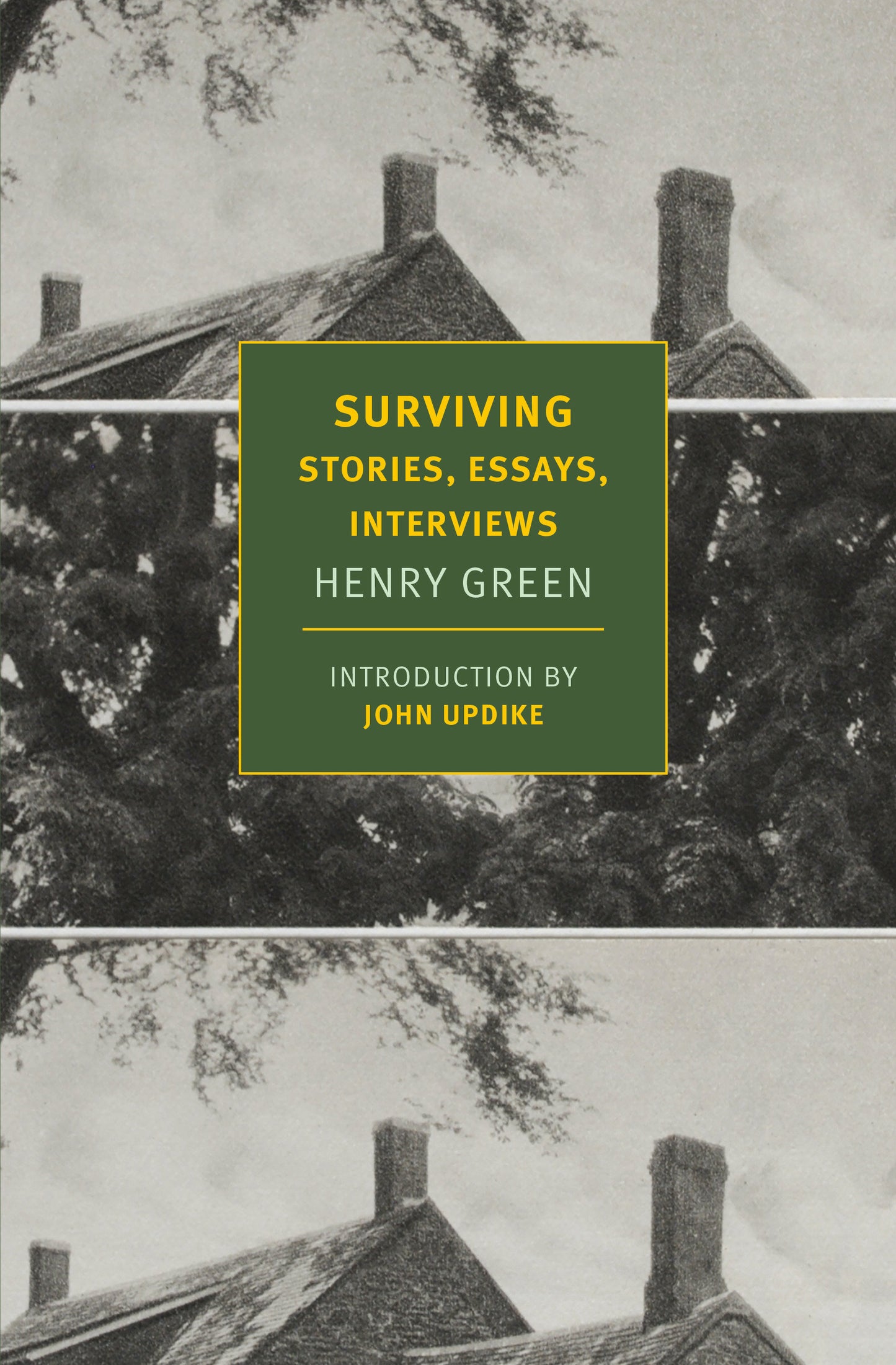 Surviving - Stories, Essays, Interviews
