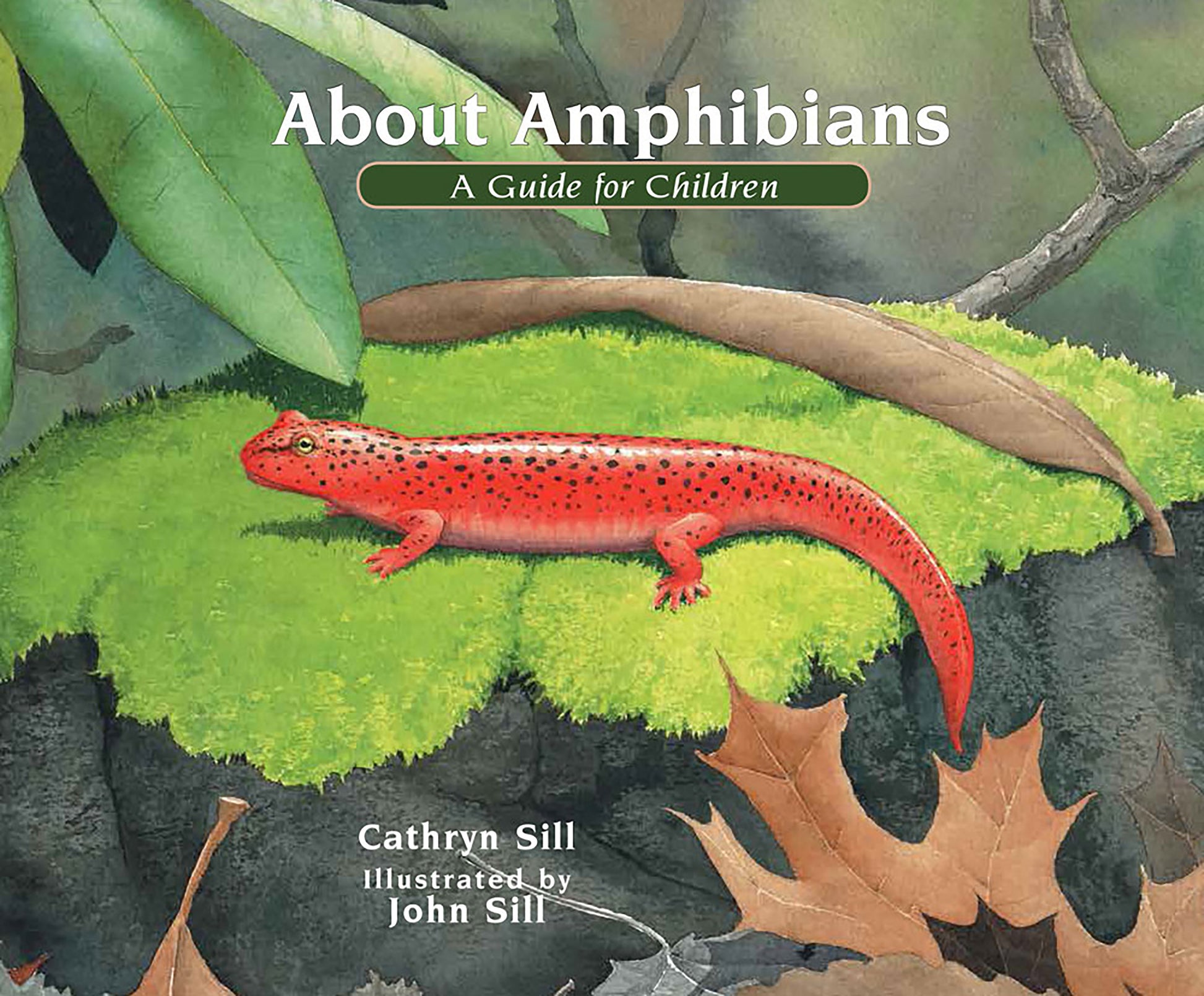 About Amphibians - A Guide for Children (Educational Science Book About Frogs, Toads, Salamanders, & More) (About. . .) (Book:5)