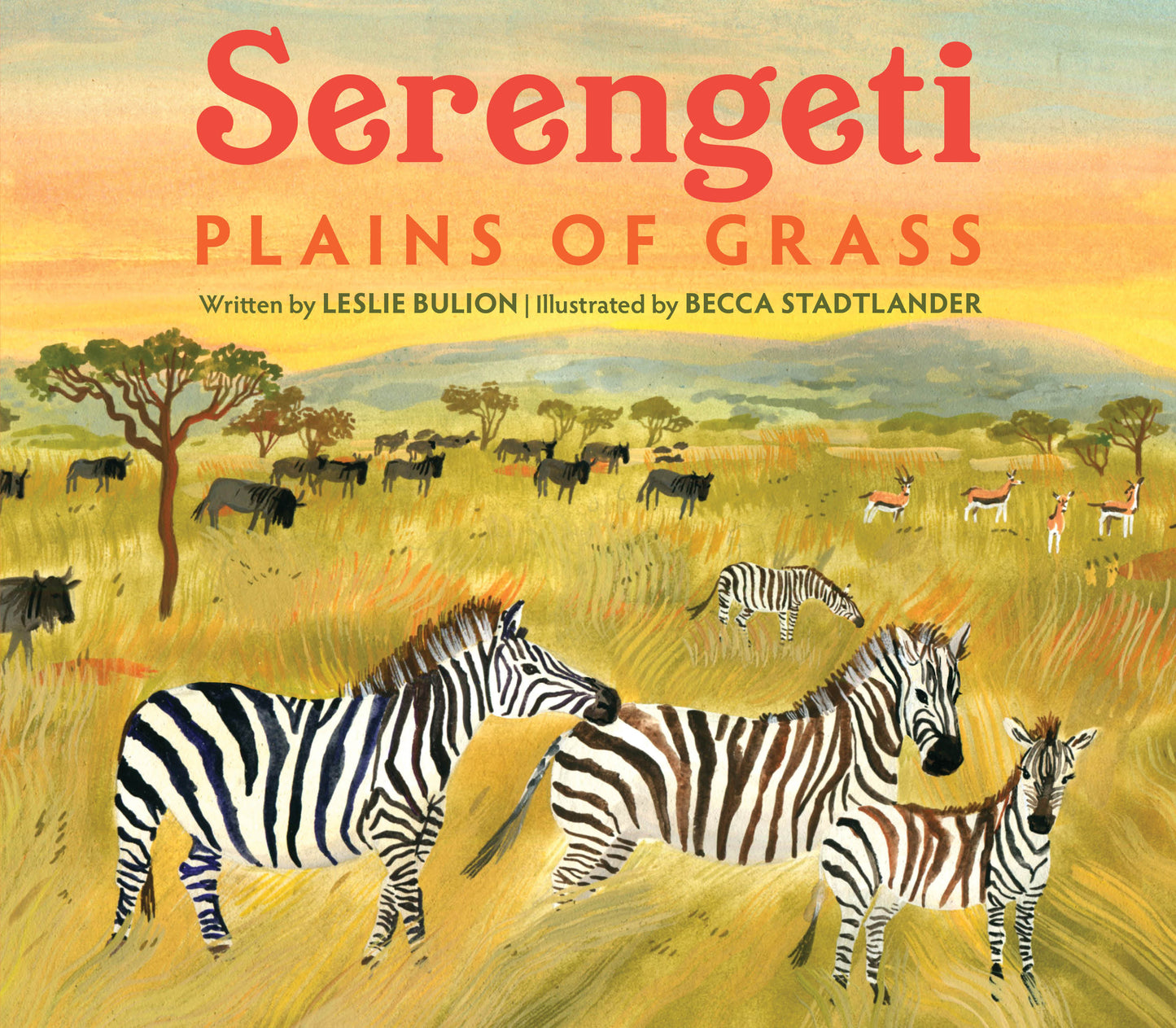 Serengeti - Plains of Grass