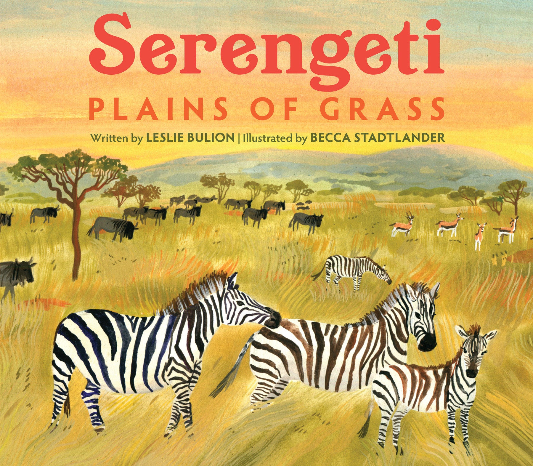 Serengeti - Plains of Grass