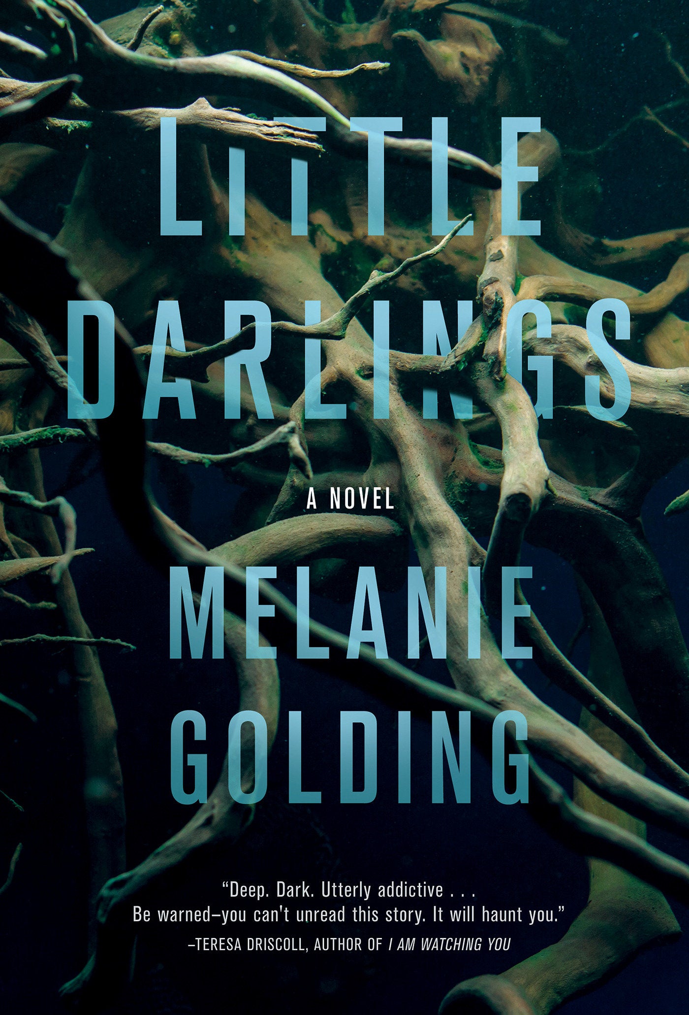Little Darlings - A Novel