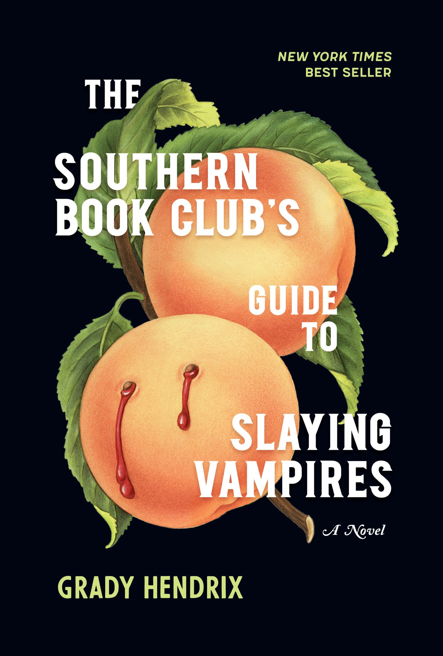 The Southern Book Club's Guide to Slaying Vampires - A Novel