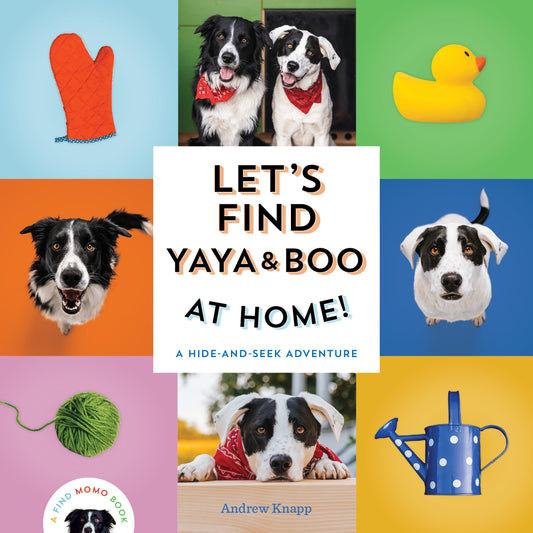 Let's Find Yaya and Boo at Home! - A Hide-and-Seek Adventure (Find Momo) (Book:6)
