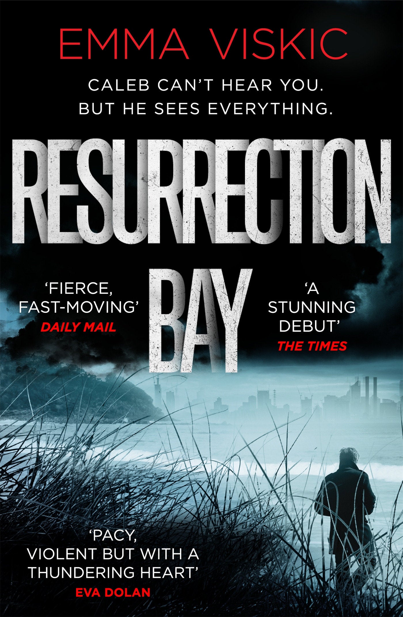 Resurrection Bay - Caleb Zelic Series: Volume One (Pushkin Vertigo) (Book:18)