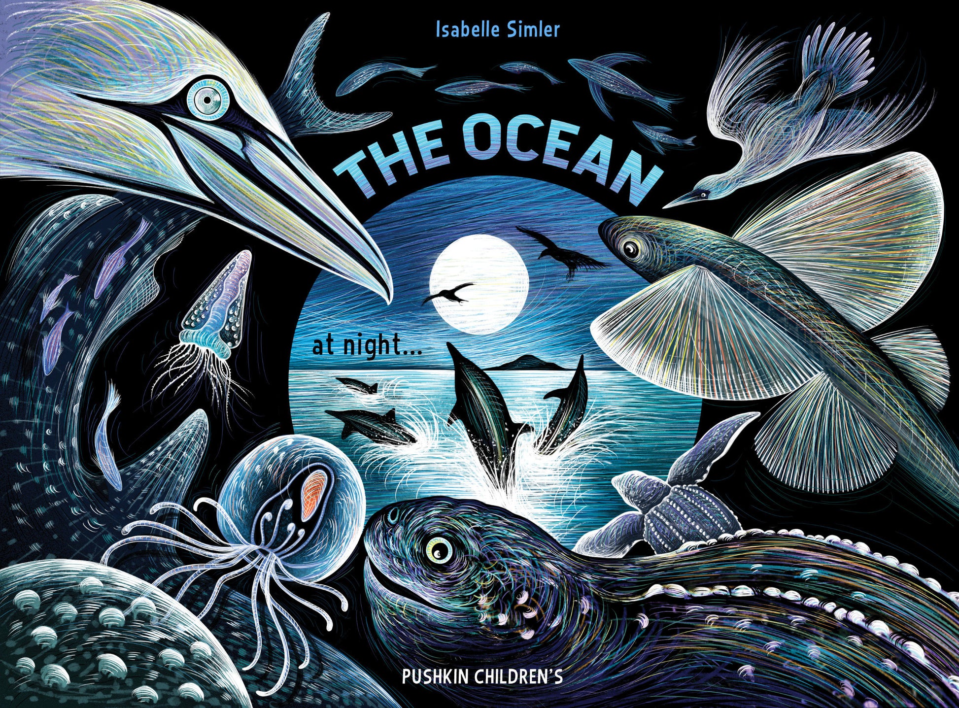 The Ocean at Night (Nature at Night) (Book:1)