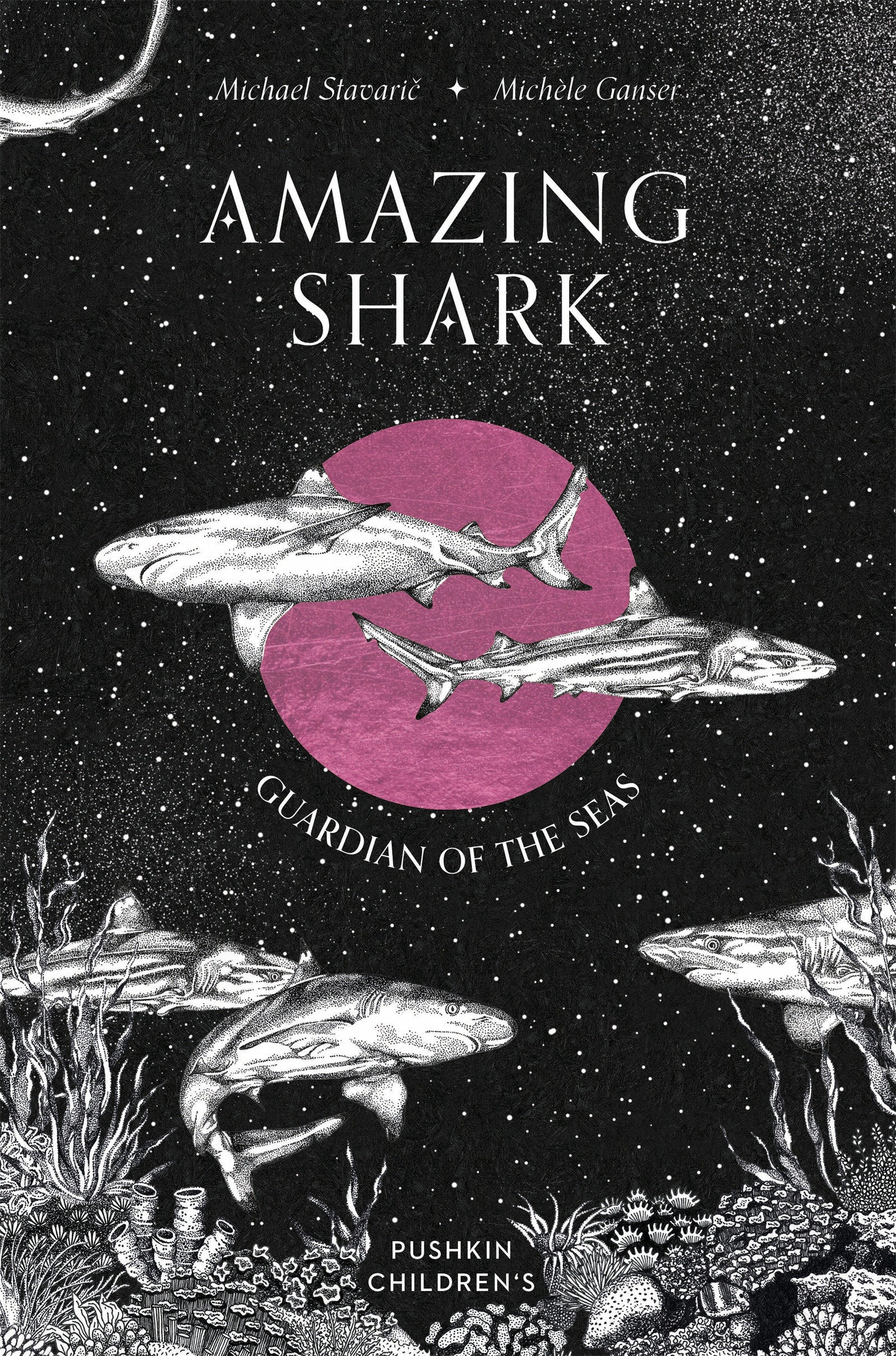 Amazing Shark - Guardian of the Seas (Amazing Ocean)