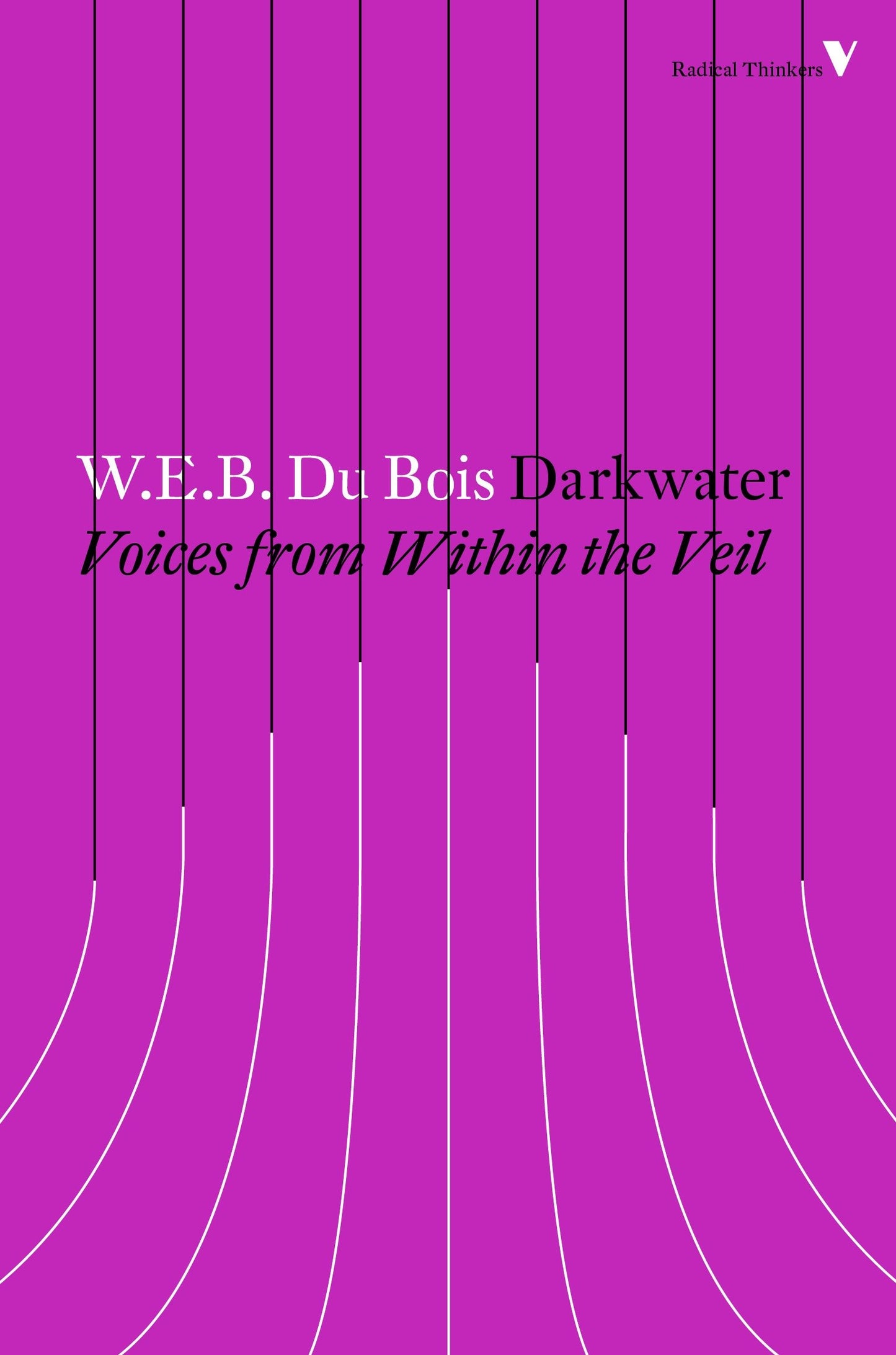 Darkwater - Voices from Within the Veil (Radical Thinkers)