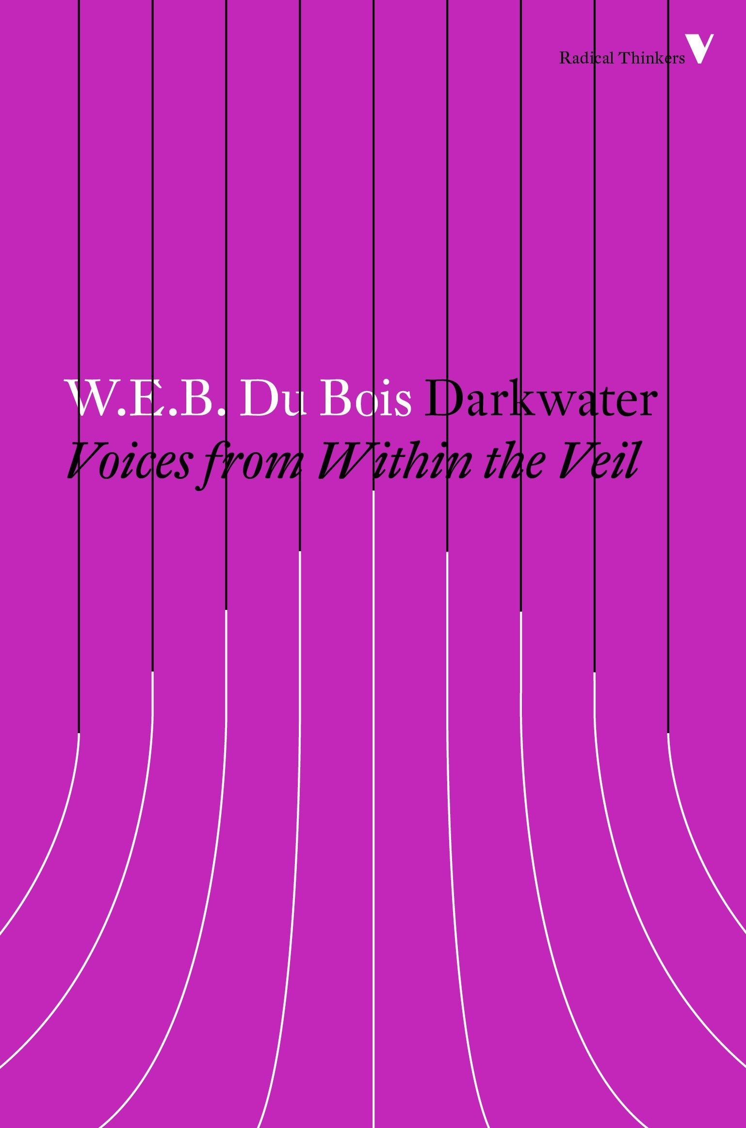 Darkwater - Voices from Within the Veil (Radical Thinkers)