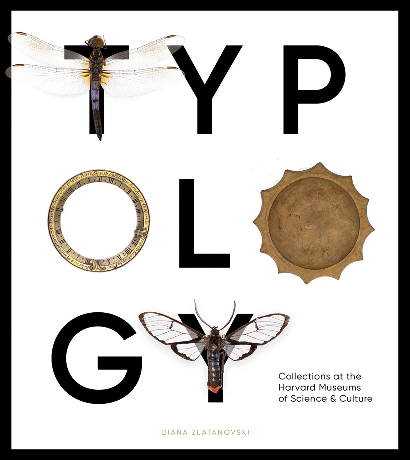 Typology - Collections at the Harvard Museums of Science & Culture