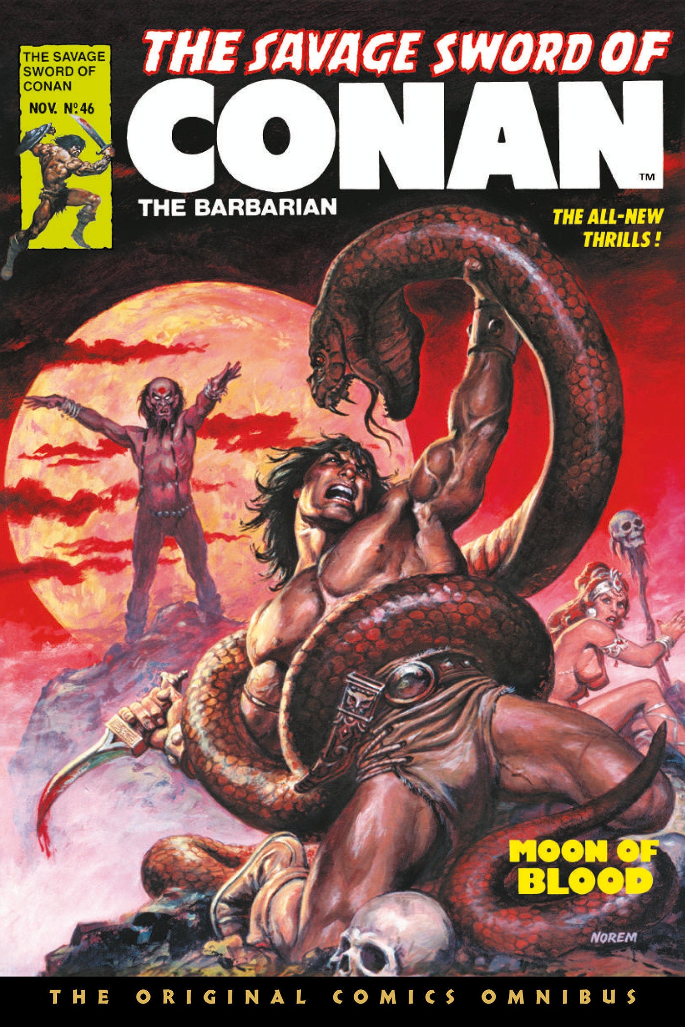 The Savage Sword of Conan: The Original Comics Omnibus Vol.4 (SAVAGE SWORD OF CONAN OMNIBUS) (Book:4)