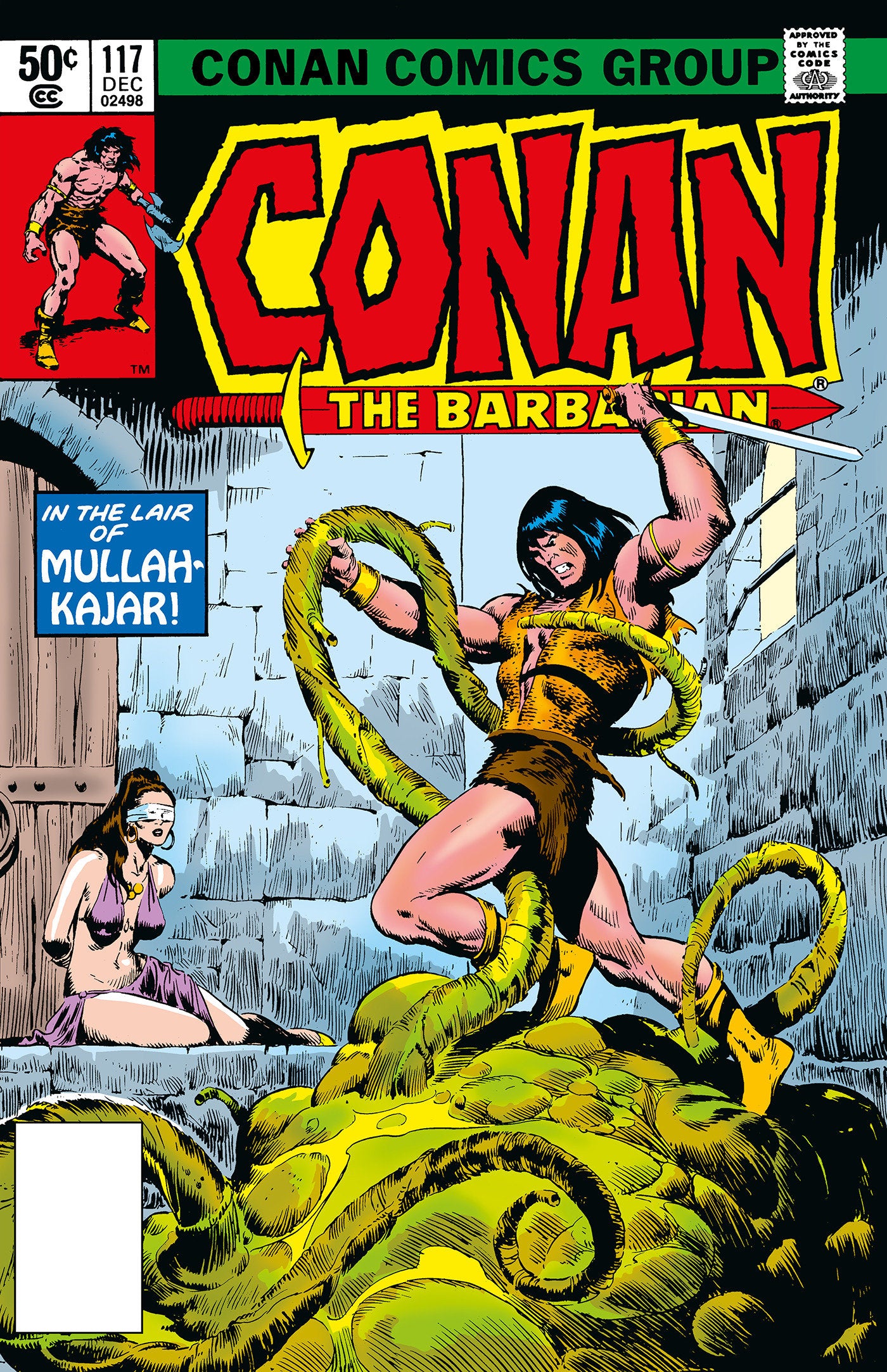 Conan The Barbarian: The Original Comics Omnibus Vol.5 (CONAN THE BARBARIAN OMNIBUS) (Book:5)