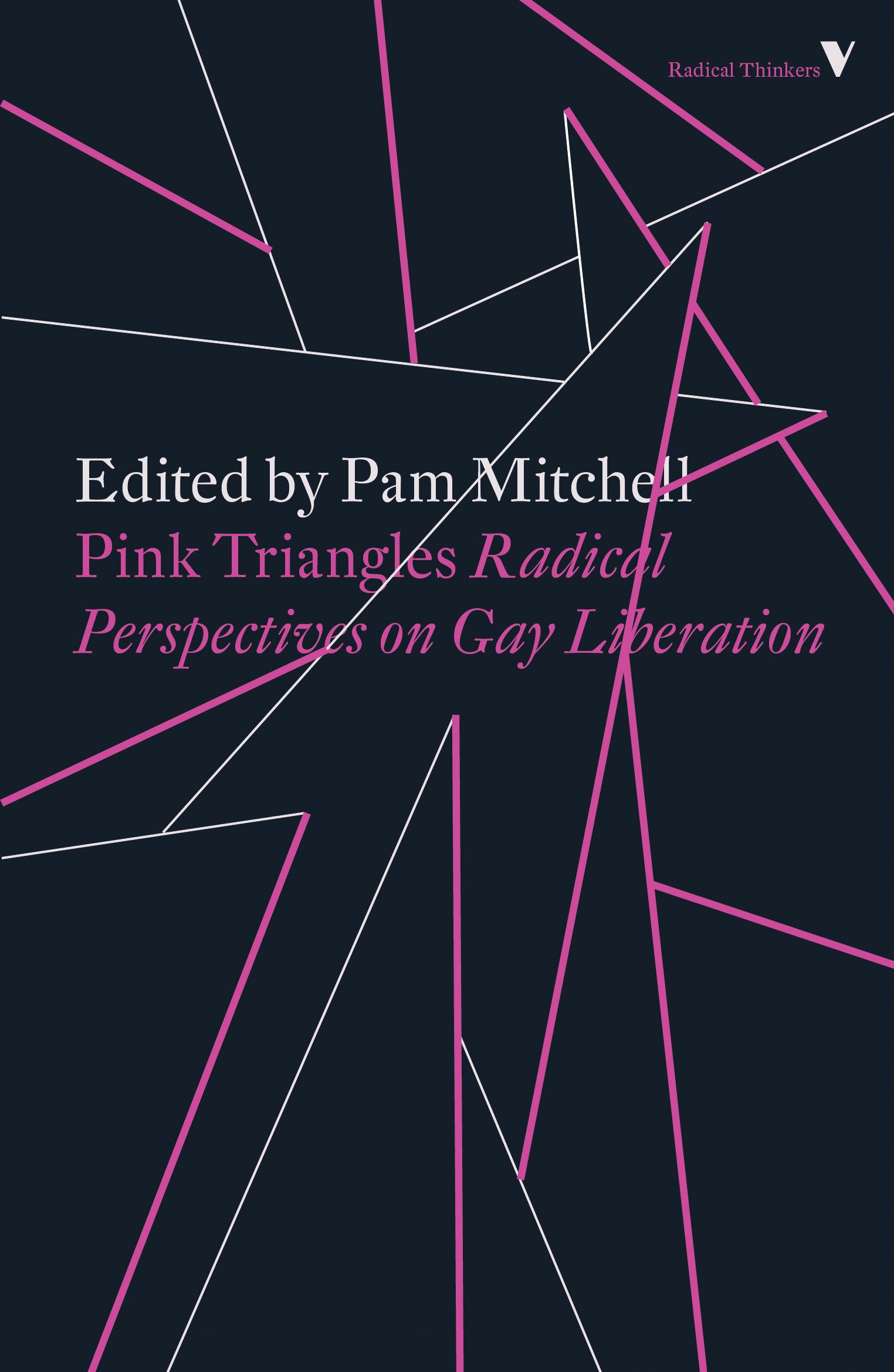 Pink Triangles - Radical Perspectives on Gay Liberation
