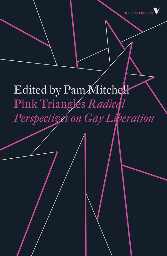 Pink Triangles - Radical Perspectives on Gay Liberation