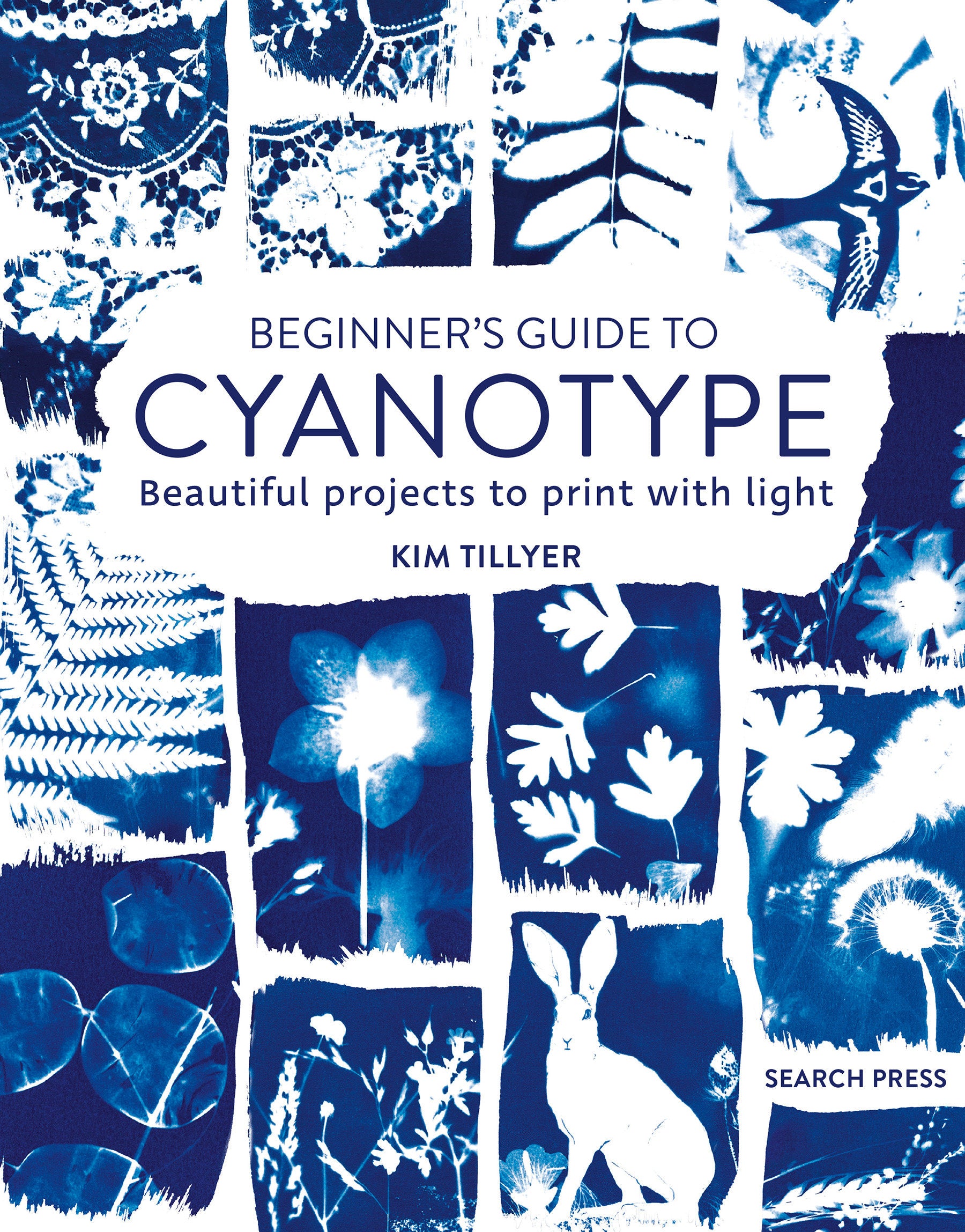 Beginner�s Guide to Cyanotype - Beautiful projects to print with light